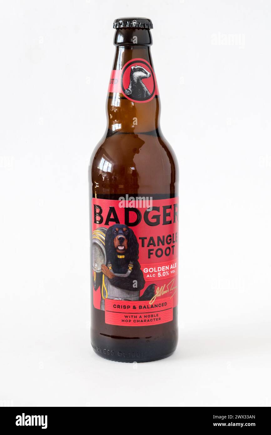 Tangle Foot est une bière dorée embouteillée de la Badger Brewery. Décrit comme croustillant et équilibré, avec un caractère de hop noble. Force de 4,7%-5% ABV. Banque D'Images