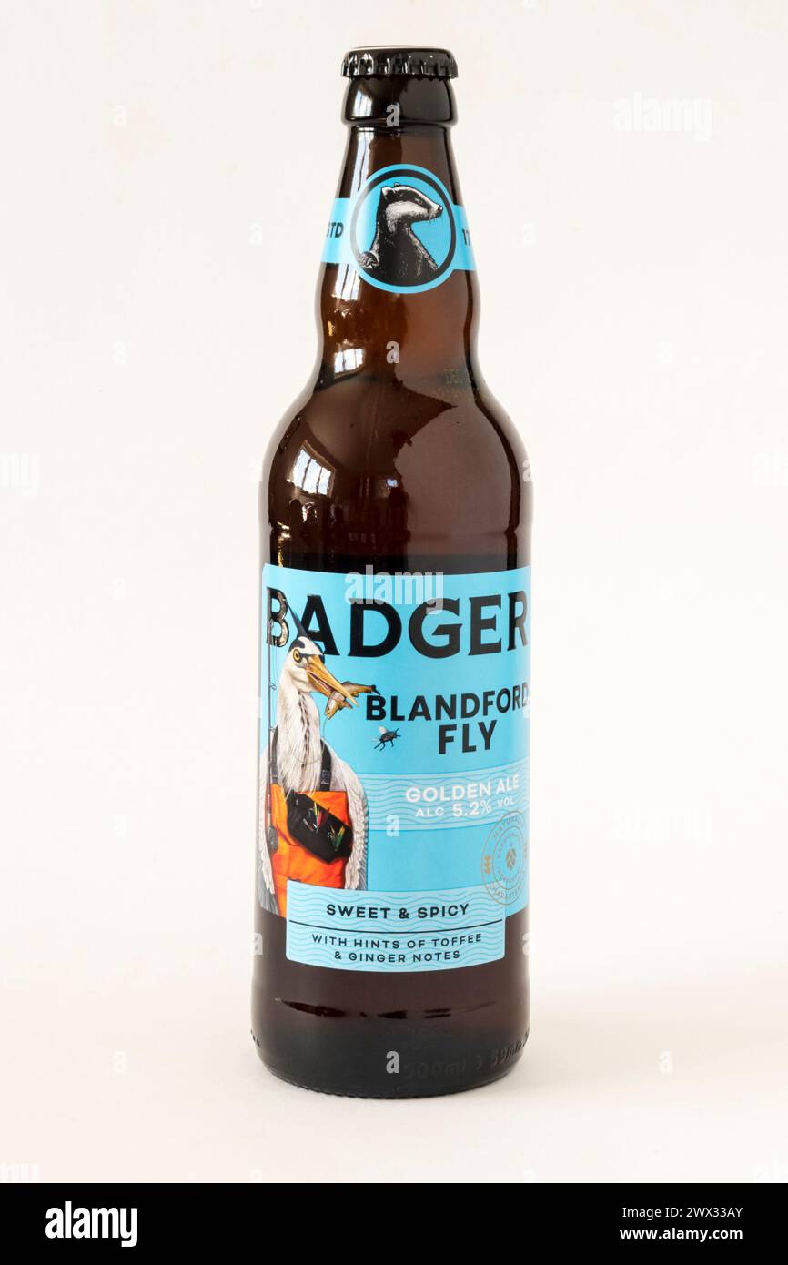 Blandford Fly est une bière dorée embouteillée de la Badger Brewery. Décrit comme sucré et épicé, avec des notes de caramel et de gingembre. Force de 5,2 % ABV. Banque D'Images