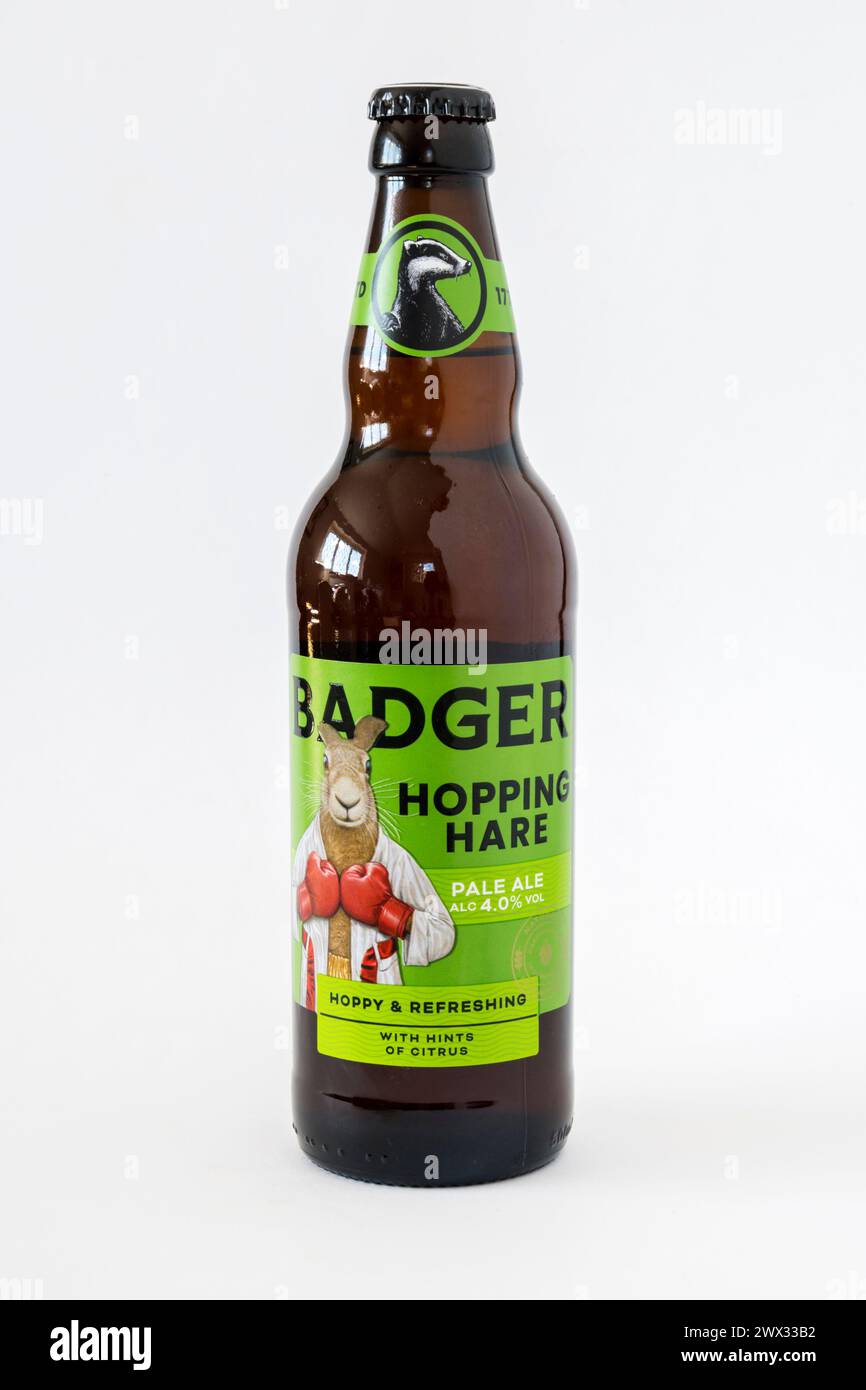 Hopping Hare est une bière pâle embouteillée de la Badger Brewery. Décrit comme houblonné et rafraîchissant, avec des notes d'agrumes. Force de 4 % ABV Banque D'Images
