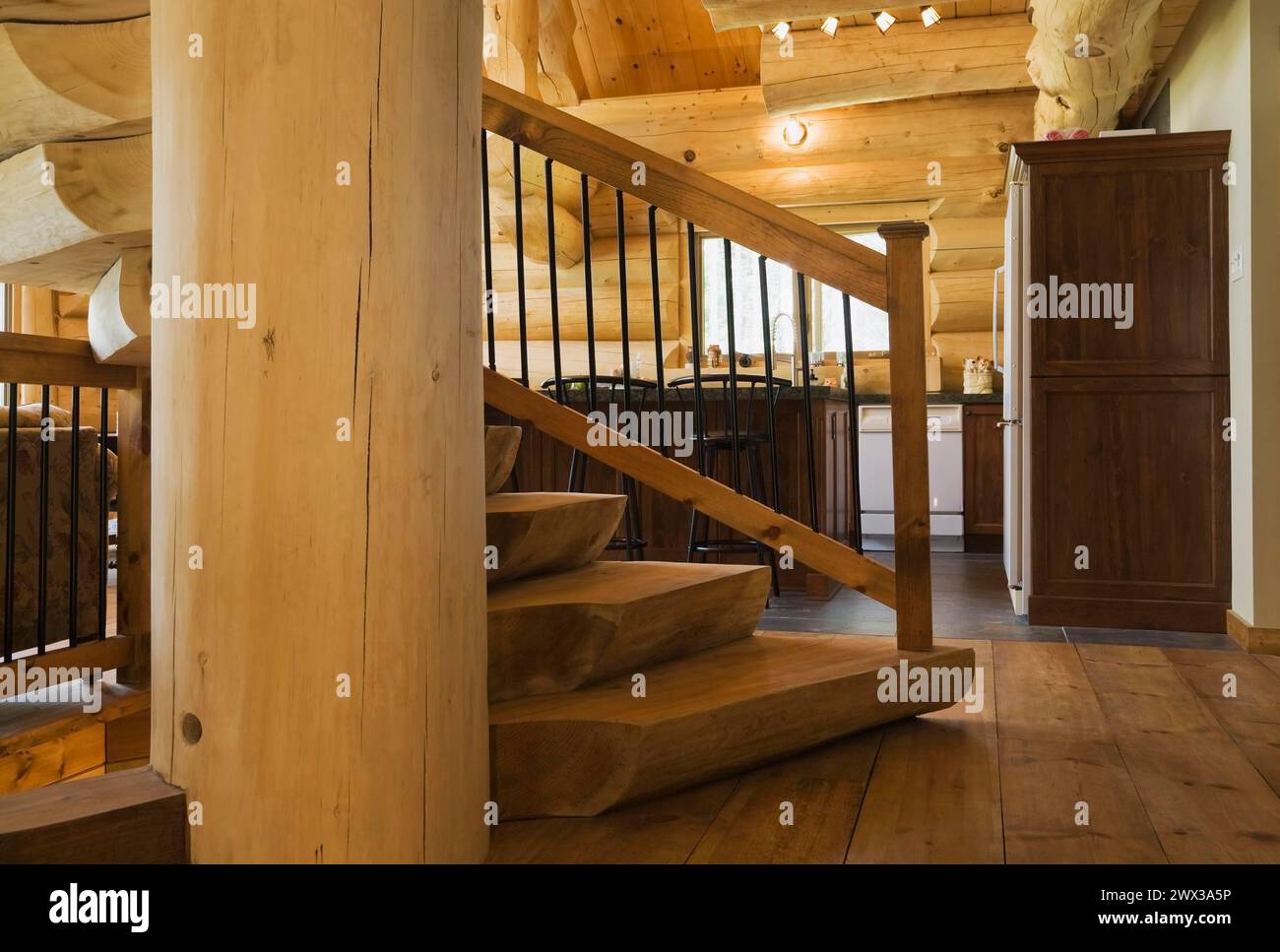 Escalier torsadé avec main courante en bois et en fer forgé noir et demi-marches en rondins teintées brunes fixées à un grand montant central de support du tronc d'arbre Banque D'Images