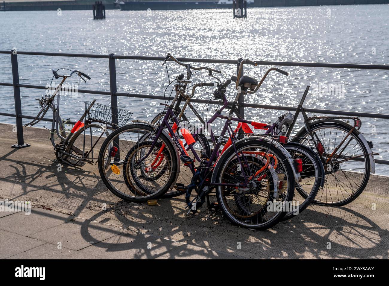 Des bicyclettes à la ferraille, vieilles bicyclettes partiellement pillées et démantelées, dans la HafenCity à Hambourg, sur les rives d'un bassin portuaire, Banque D'Images