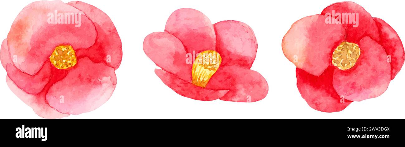 Camellia japonica avec des fleurs doubles rouges.illustration d'aquarelle botanique.style stylisé simple. Ensemble d'éléments décoratifs pour une carte de voeux ou Illustration de Vecteur