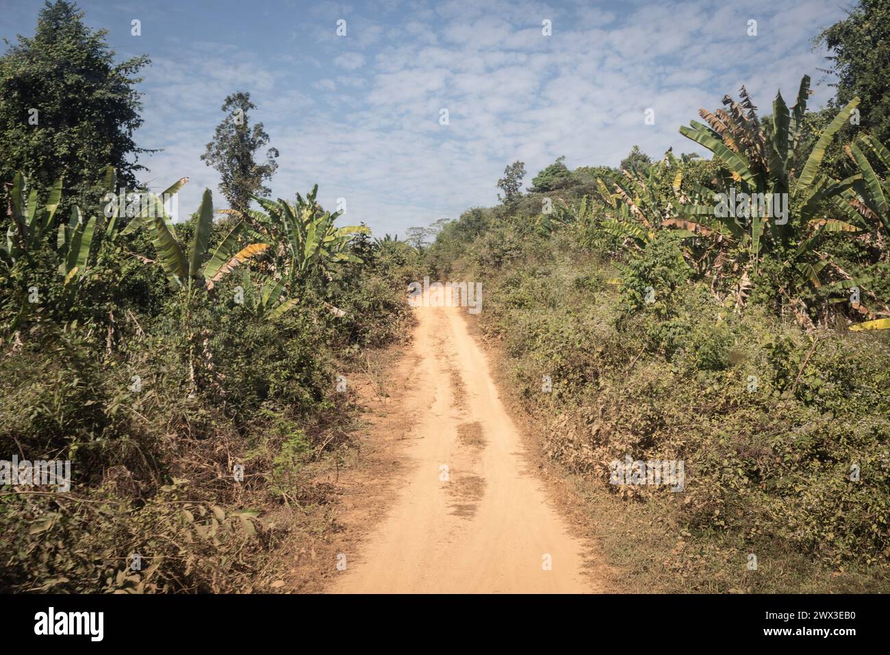 Birmanie. 05 janvier 2024. Chris Huby/le Pictorium - Birmanie - Free Burma Rangers - 05/01/2024 - Birmanie/Etat Karen - ambiance de voyage. Des camps de réfugiés aux villages bombardés, rencontrez une population martyrisée par la junte et découvrez l'action humanitaire du FBR. La Birmanie a poursuivi sa descente en enfer au cours des trois dernières années, avec une indifférence presque totale, et il est important de rendre compte de l'engagement de la FBR envers ces personnes, qui comptent plus que jamais sur l'opinion publique internationale pour leur venir en aide. Crédit : LE PICTORIUM/Alamy Live News Banque D'Images