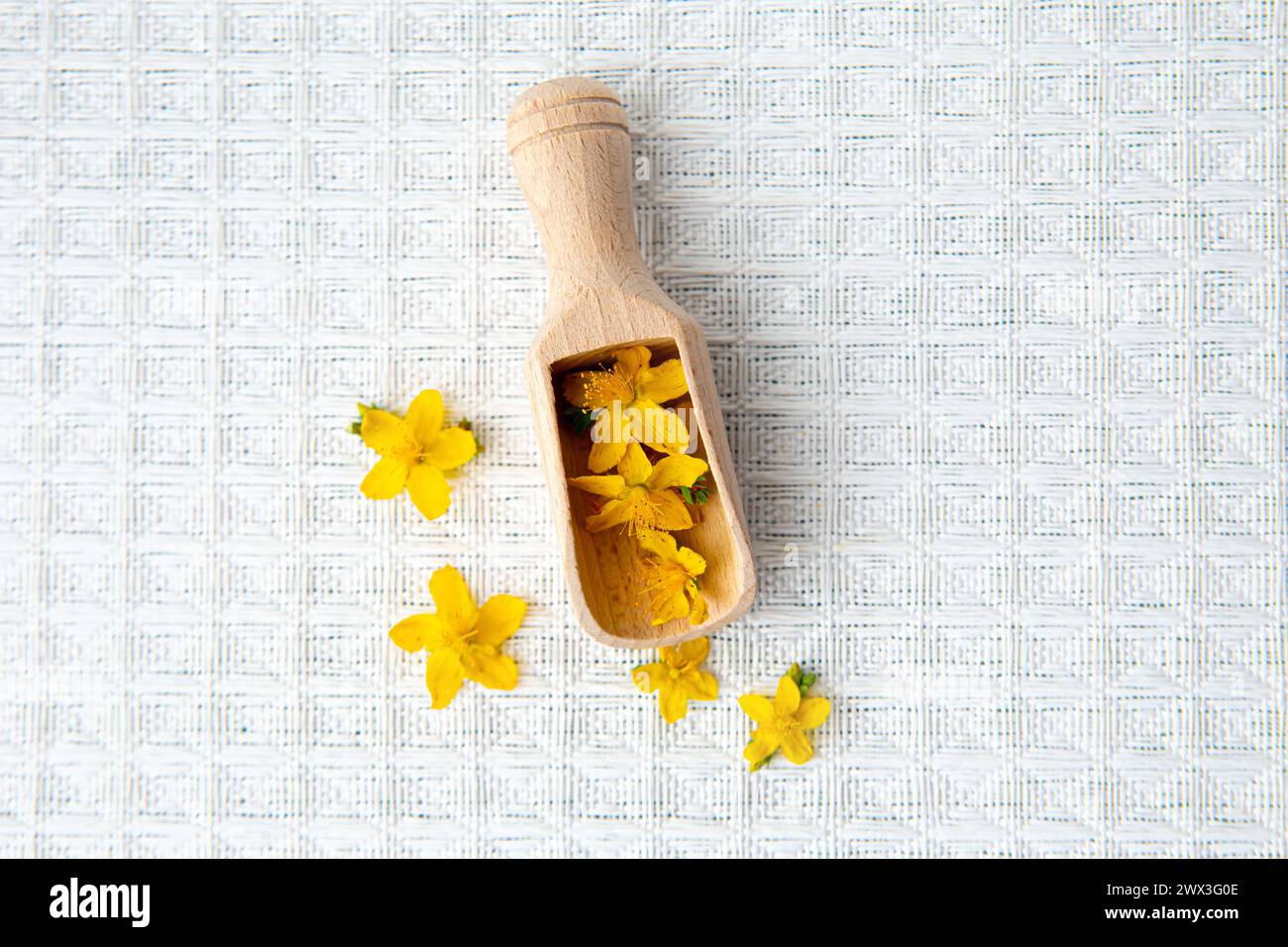 Hypericum perforatum connu sous le nom de perforate St John's-wort fleurs jaunes sur cuillère en bois, fond blanc. Copier l'espace. Banque D'Images
