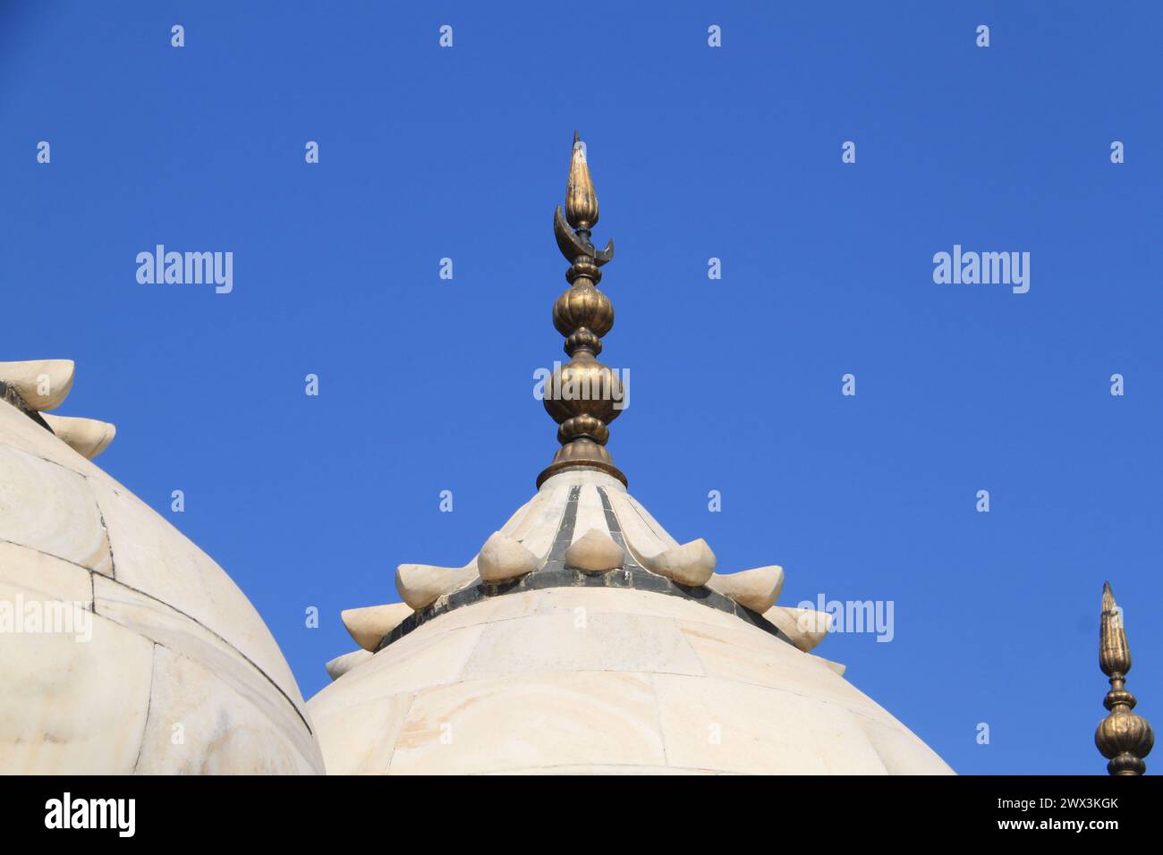 Détail de la Moti Masjid ou Mosquée de la perle dans le complexe du Fort Rouge à Agra, Inde Banque D'Images