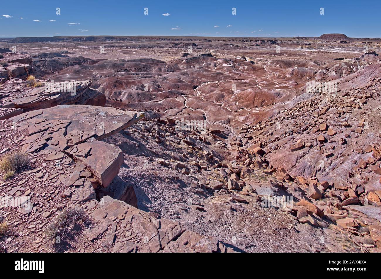 Falaises en ruine sur une mesa près de Hamilili point à l'extrémité sud du parc national Petrified Forest en Arizona. Banque D'Images