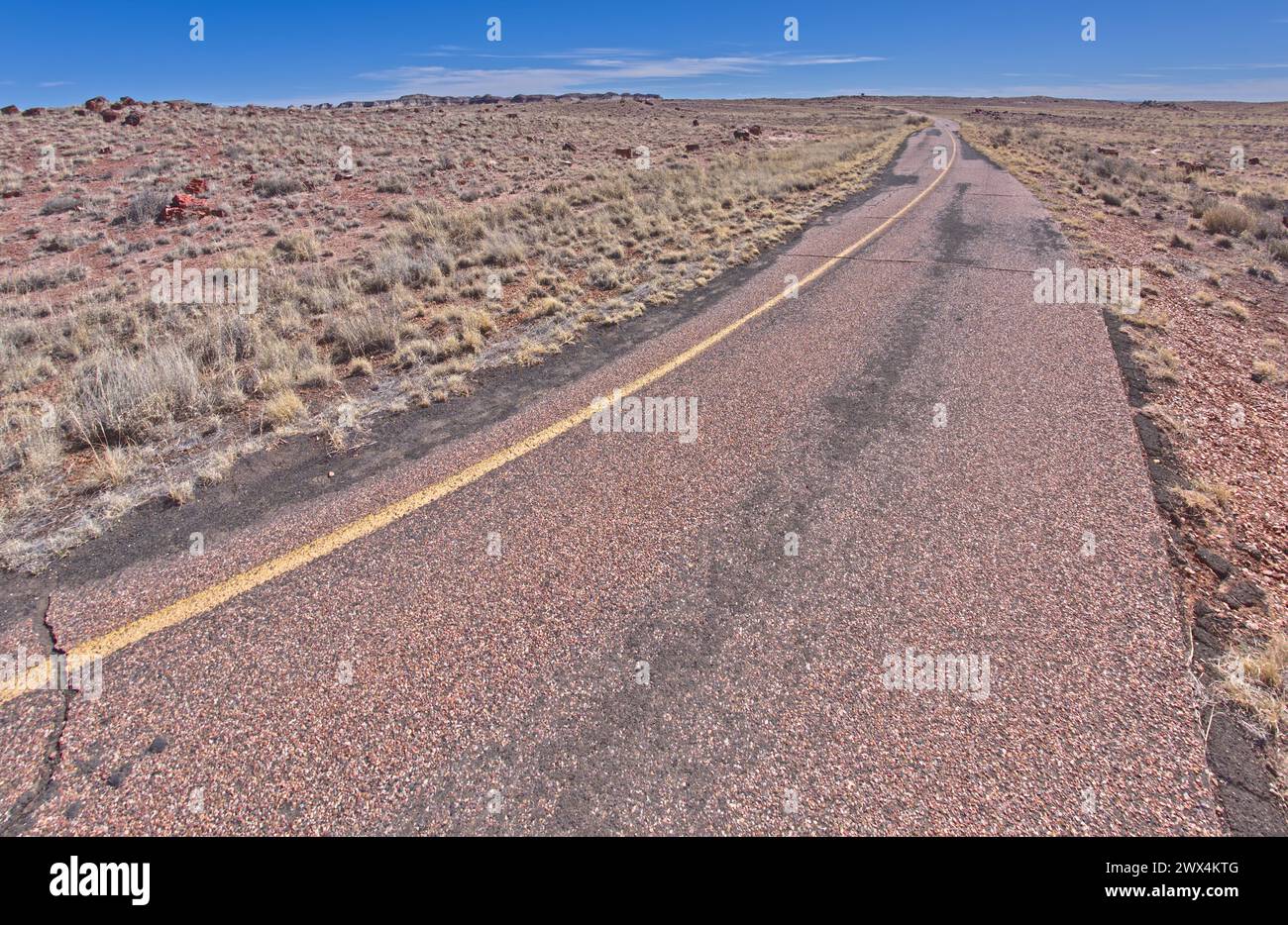 Le sentier pavé, qui était une vieille route, menant à la longue piste de Logs et Agate House dans le parc national Petrified Forest en Arizona. Banque D'Images