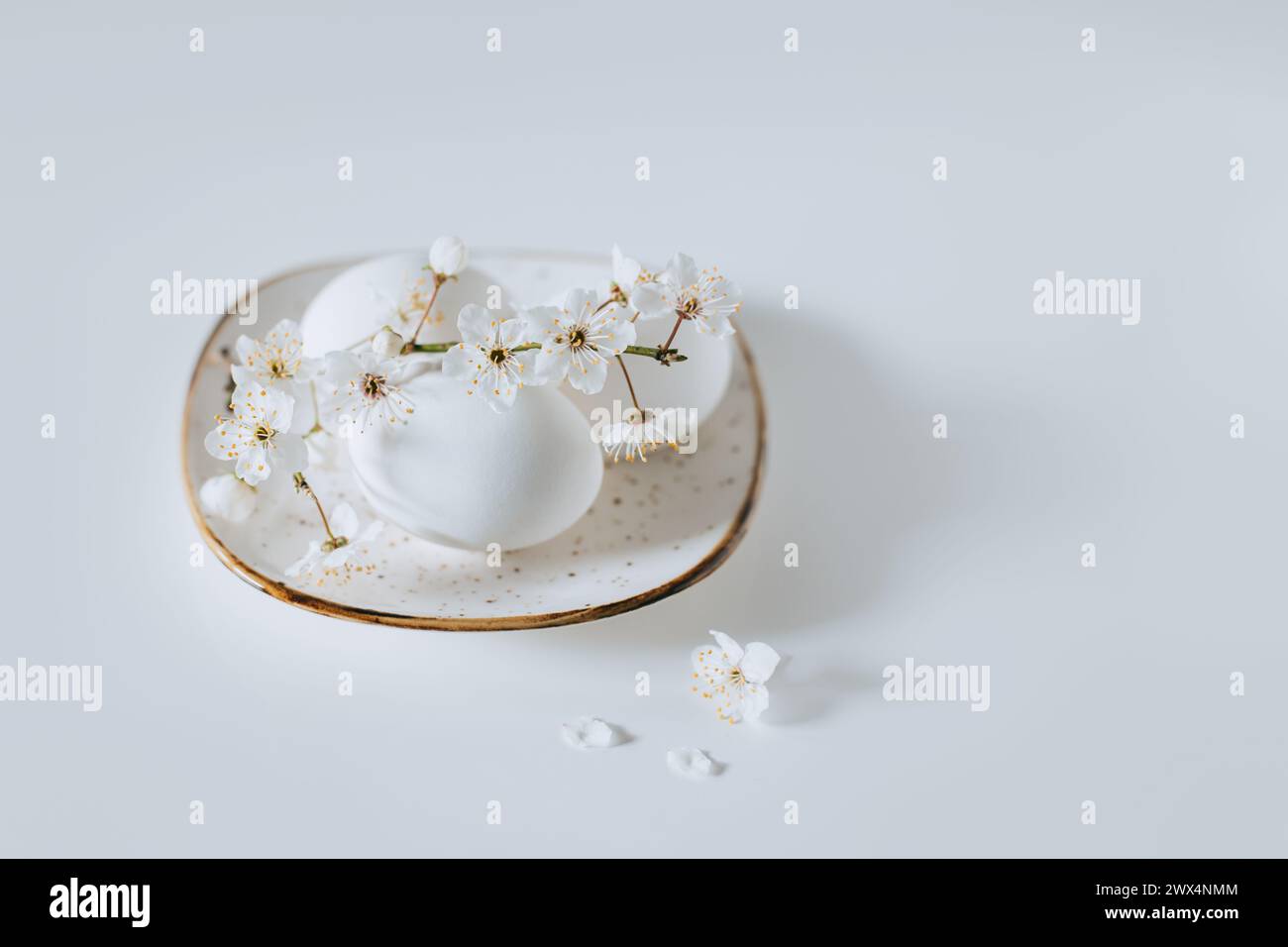 Belle branche avec fleur blanche et oeufs sur fond blanc. Concept minimal. Placer pour le texte. Banque D'Images