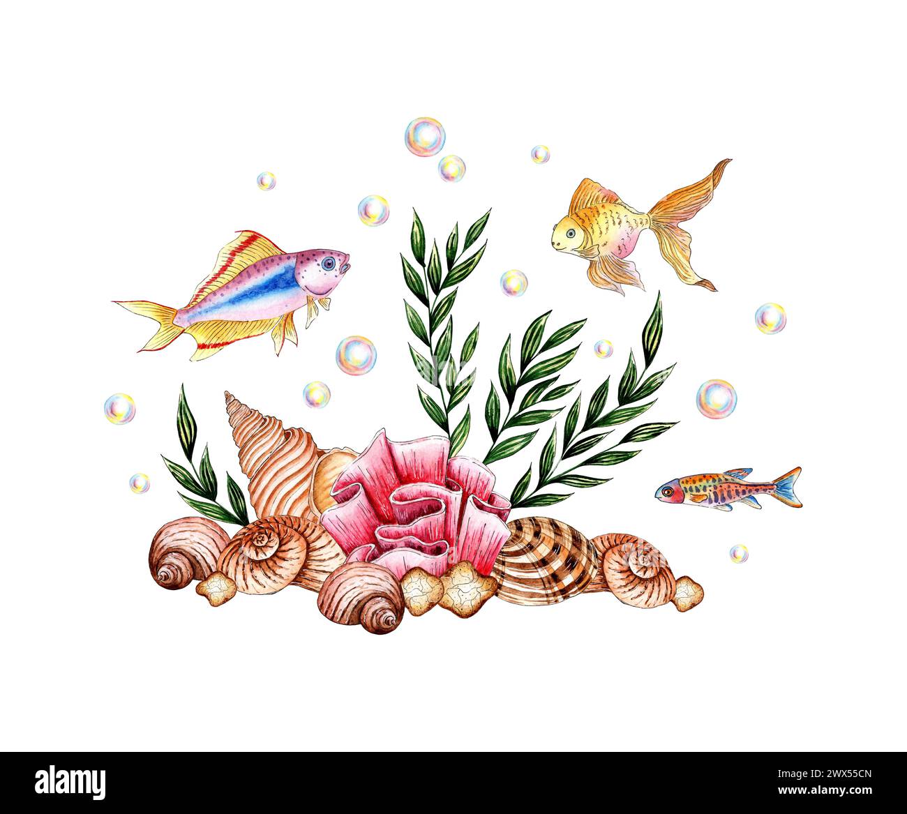 Illustration aquarelle du monde sous-marin avec des algues, des coraux roses, des coquillages bruns, des pierres, des petits poissons et des bulles. Animaux marins isolés du backg Banque D'Images