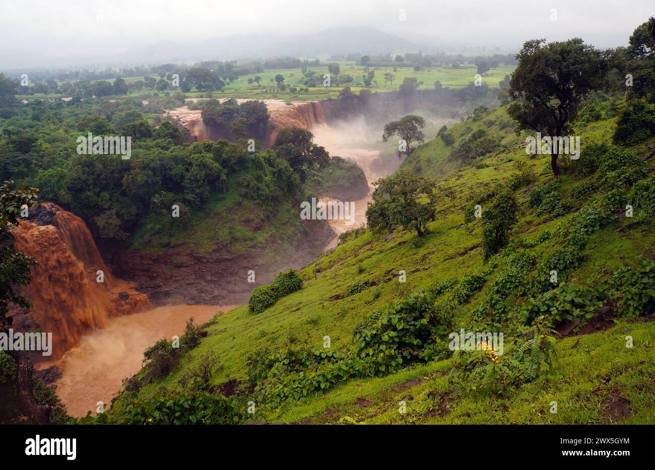 Blue Nile River près de Bahir Dar avec des cascades au loin Banque D'Images