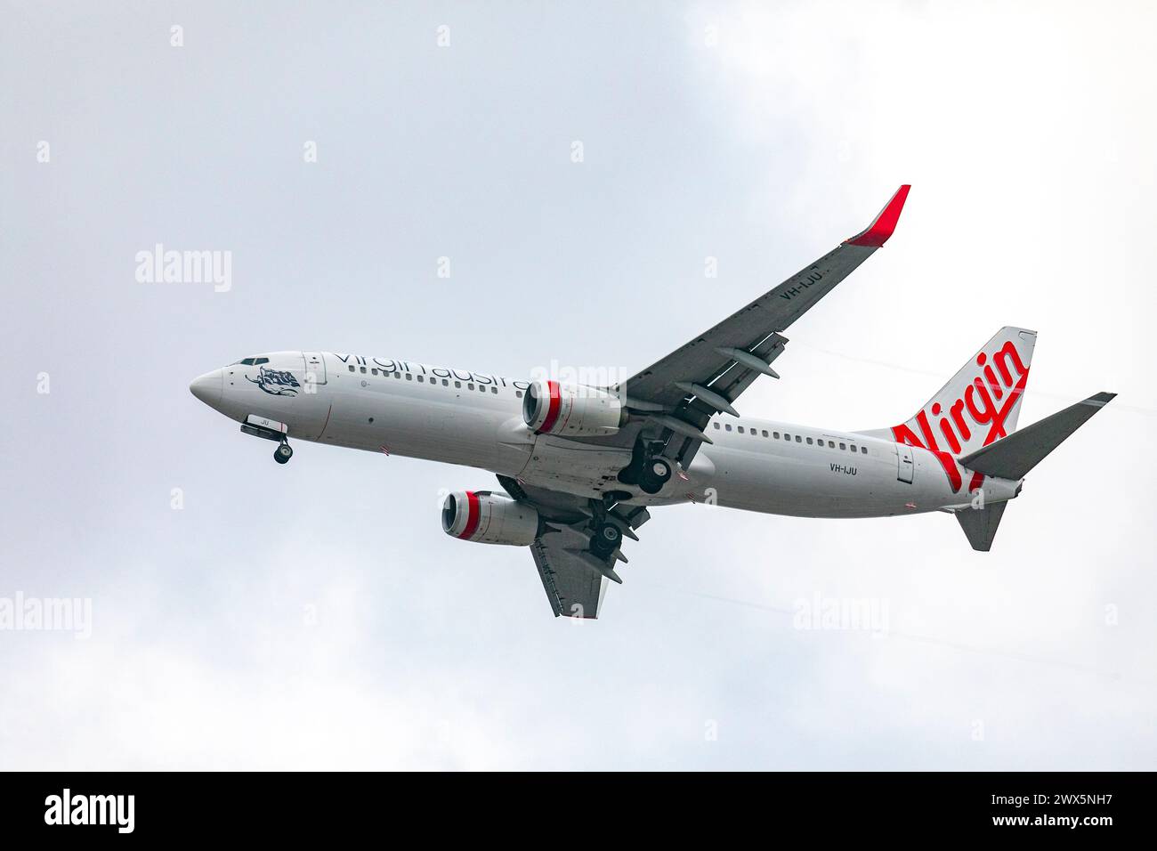 Virgin Australia Flight plane, un Boeing 737, survolant Sydney alors qu'il se dirige vers l'aéroport de Sydney Kingsford smith, Australie, 2024 Banque D'Images