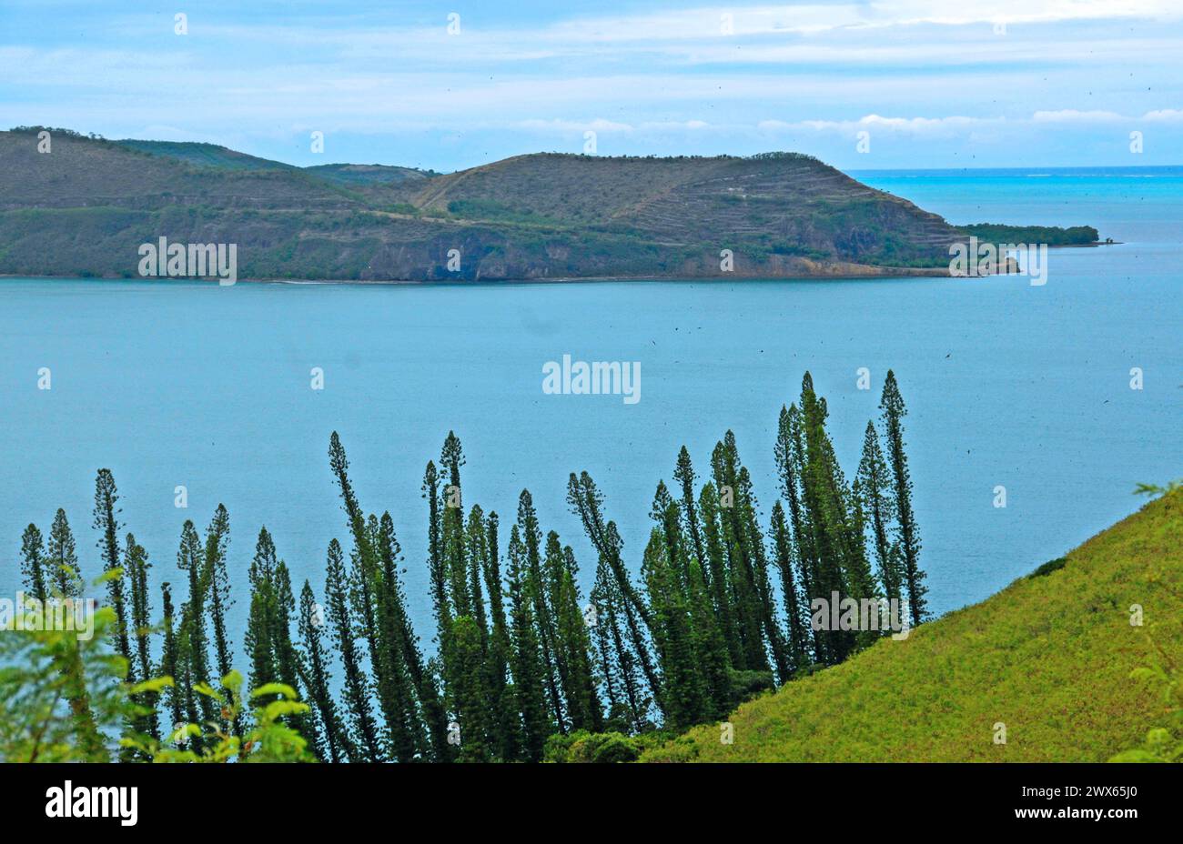 Littoral, Baie des tortues, basse Terre, Nouvelle-Calédonie Banque D'Images
