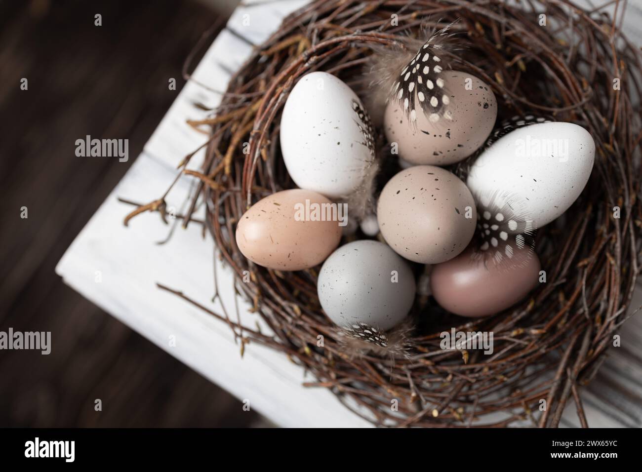 Oeufs de Pâques dans le nid de branches de bouleau sur le bord de la table en bois blanc. Carte de voeux printanière Banque D'Images