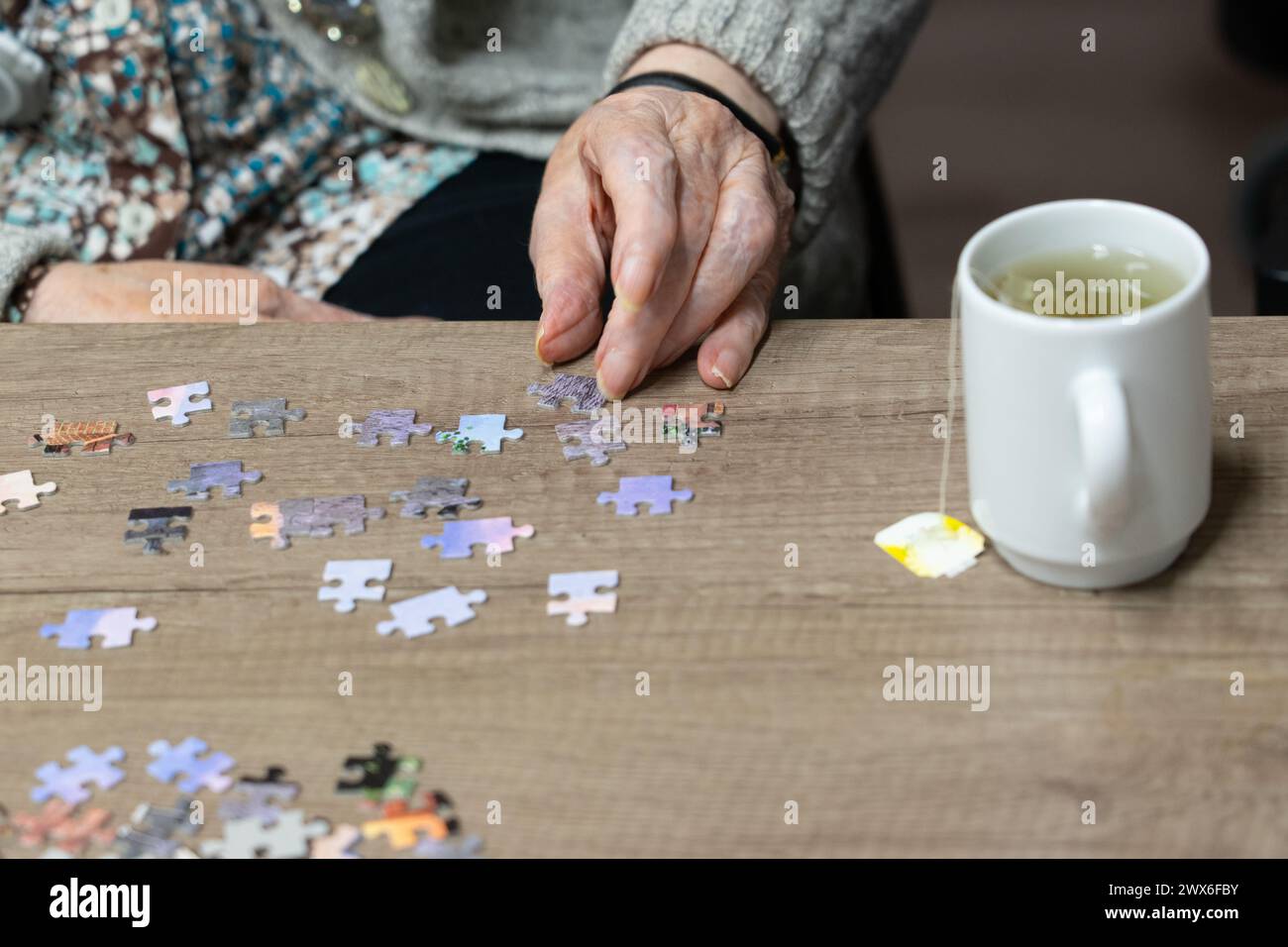 Mains de femme senior faisant un puzzle Banque D'Images