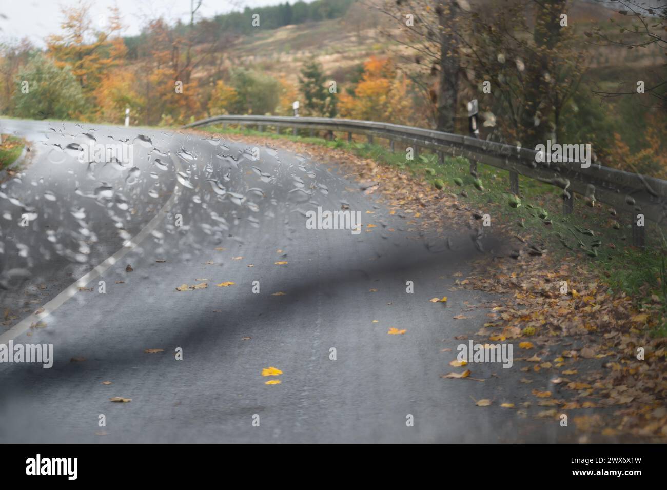 Route couverte de feuilles d'automne sous la pluie photographiée à travers un pare-brise. L'essuie-glace avant est flou en mouvement. Banque D'Images Route couverte de feuilles d'automne sous la pluie photographiée à travers un pare-brise. L'essuie-glace avant est flou en mouvement. Banque D'Images