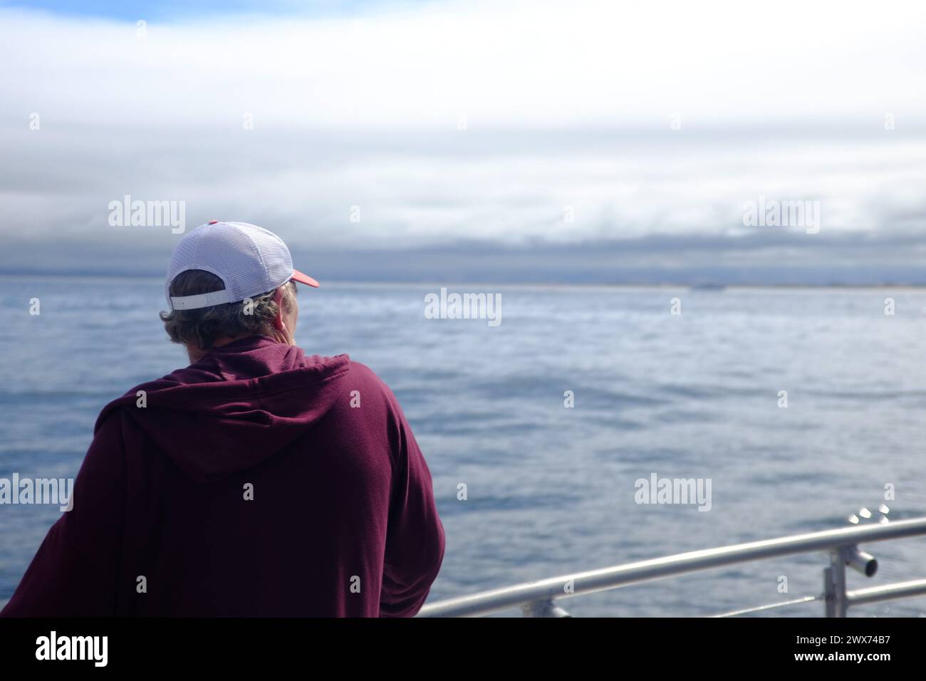 Une excursion en bateau près de Monterey CA - observation des baleines et des dauphins Banque D'Images