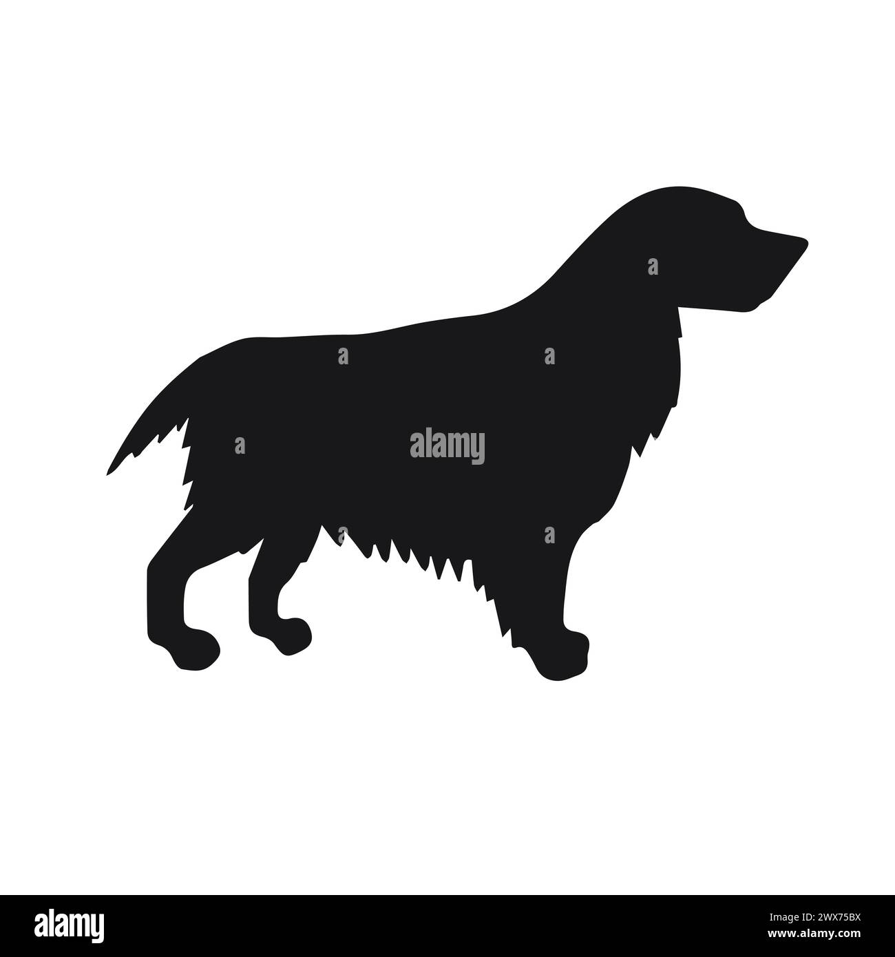 Silhouette de chien d'épaniel dessinée par vecteur à la main isolée sur fond blanc Illustration de Vecteur