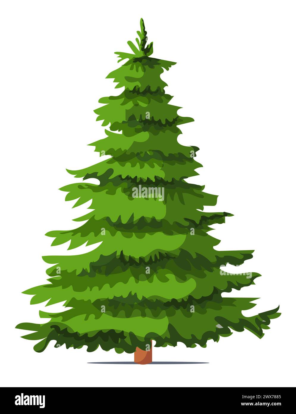 Épinette verte sur fond blanc. Illustration vectorielle de style plat. Banque D'Images