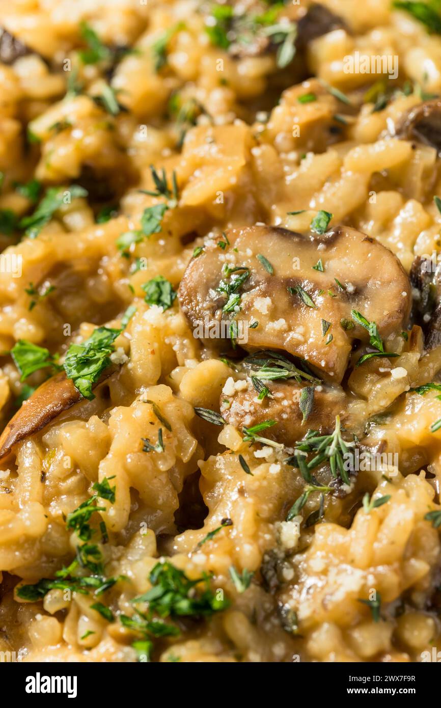 Risotto aux champignons italiens sain avec thym et persil Banque D'Images