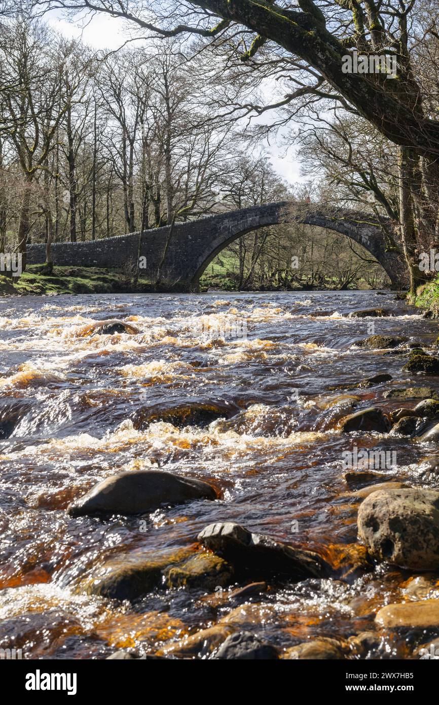 La rivière Swale et le pont Ivelet Banque D'Images