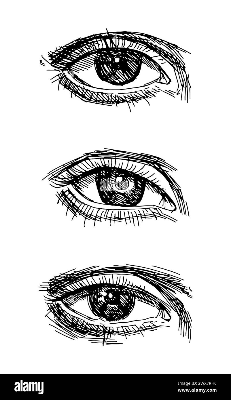 Style de gravure d'esquisse. Oeil féminin vintage dessiné à la main. Vecteur dans le style d'esquisse. Illustration de Vecteur