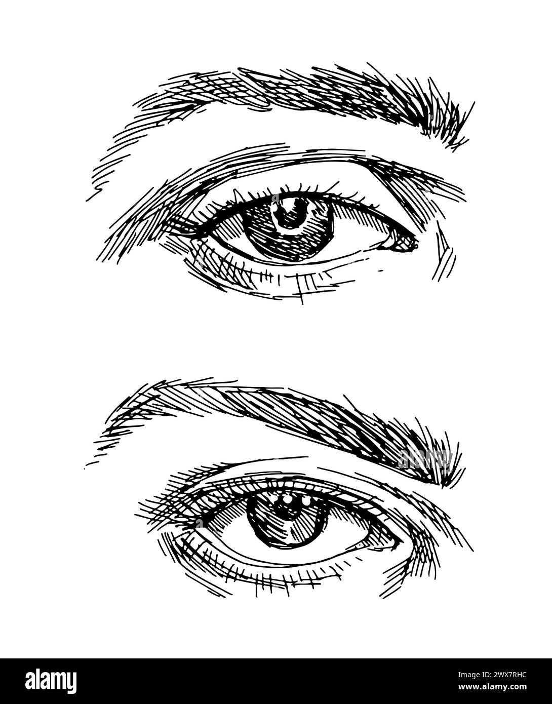 Style de gravure d'esquisse. Oeil féminin vintage dessiné à la main. Vecteur dans le style d'esquisse. Illustration de Vecteur