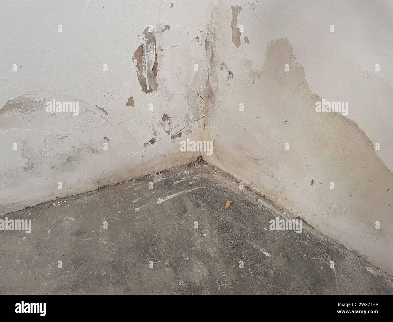 Dégâts d'eau sur le mur dans la pièce Banque D'Images