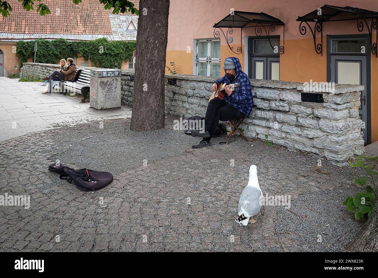 Tallinn, Estonie, 17 juillet : musicien de rue, guitariste interprète ses chansons dans la cour du vieux Tallinn, 17 juillet 2022. Banque D'Images