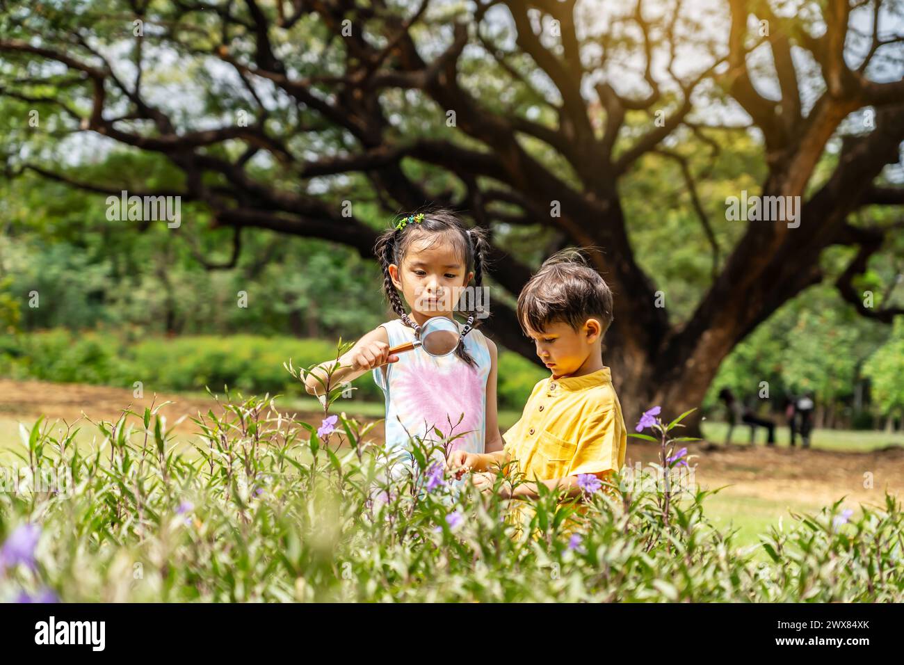 Deux enfants ramassant des fleurs dans un champ luxuriant à côté d'une route Banque D'Images