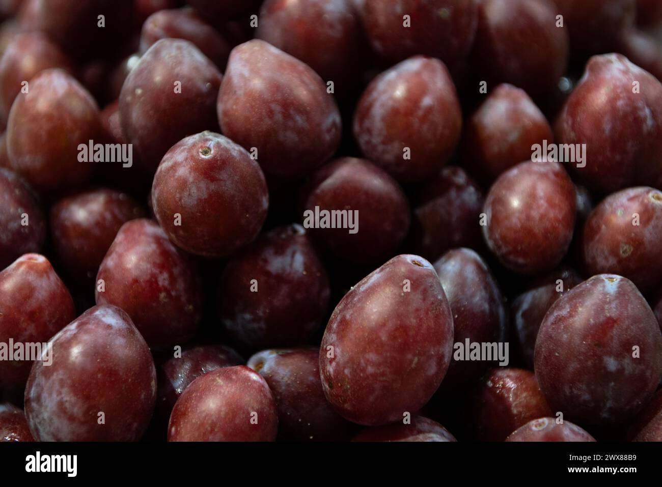 Prunes violettes Banque D'Images