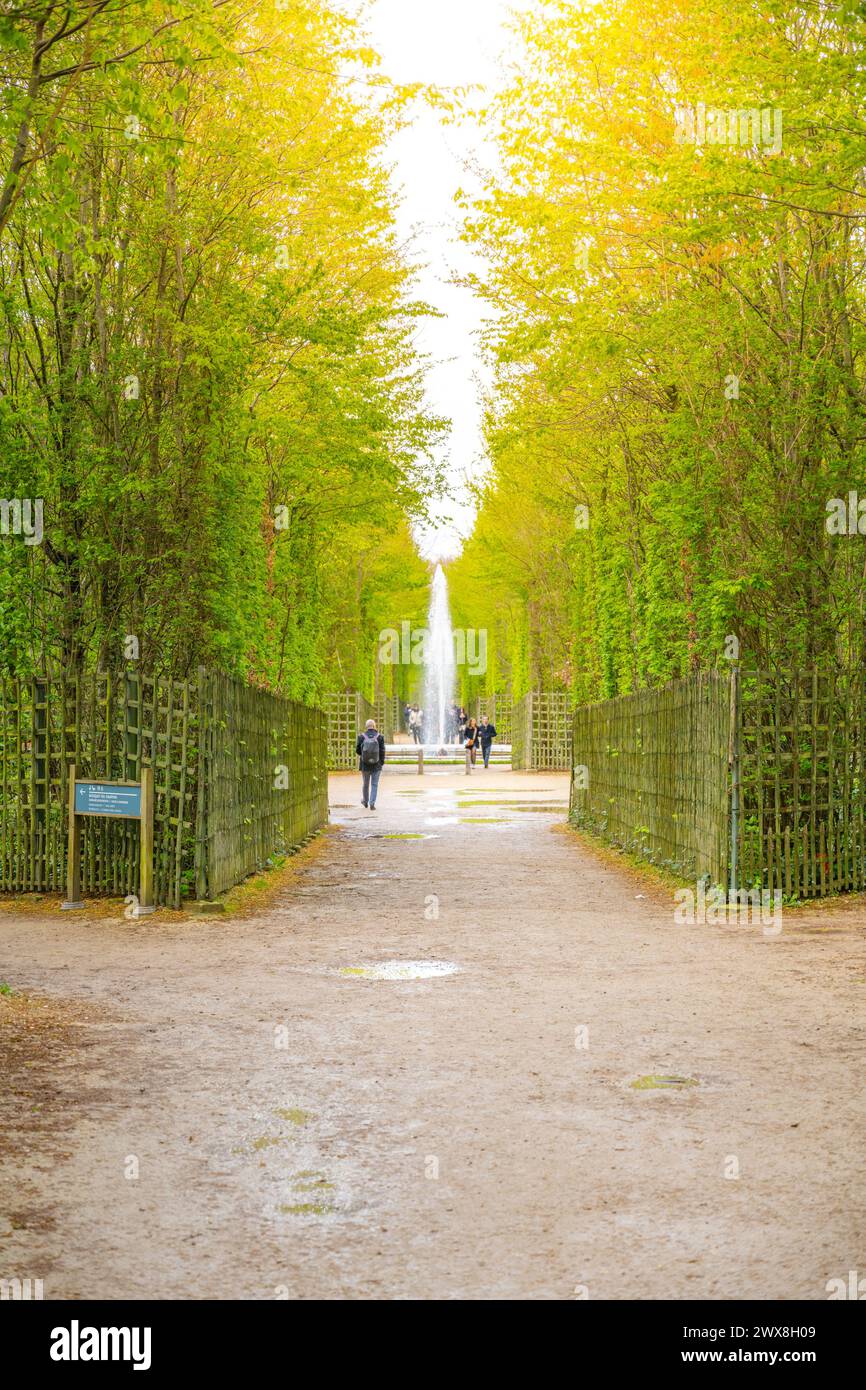 Les visiteurs marchent le long d'un chemin bordé d'arbres vers une fontaine lointaine dans les jardins historiques du Château Versailles près de Paris, France Banque D'Images