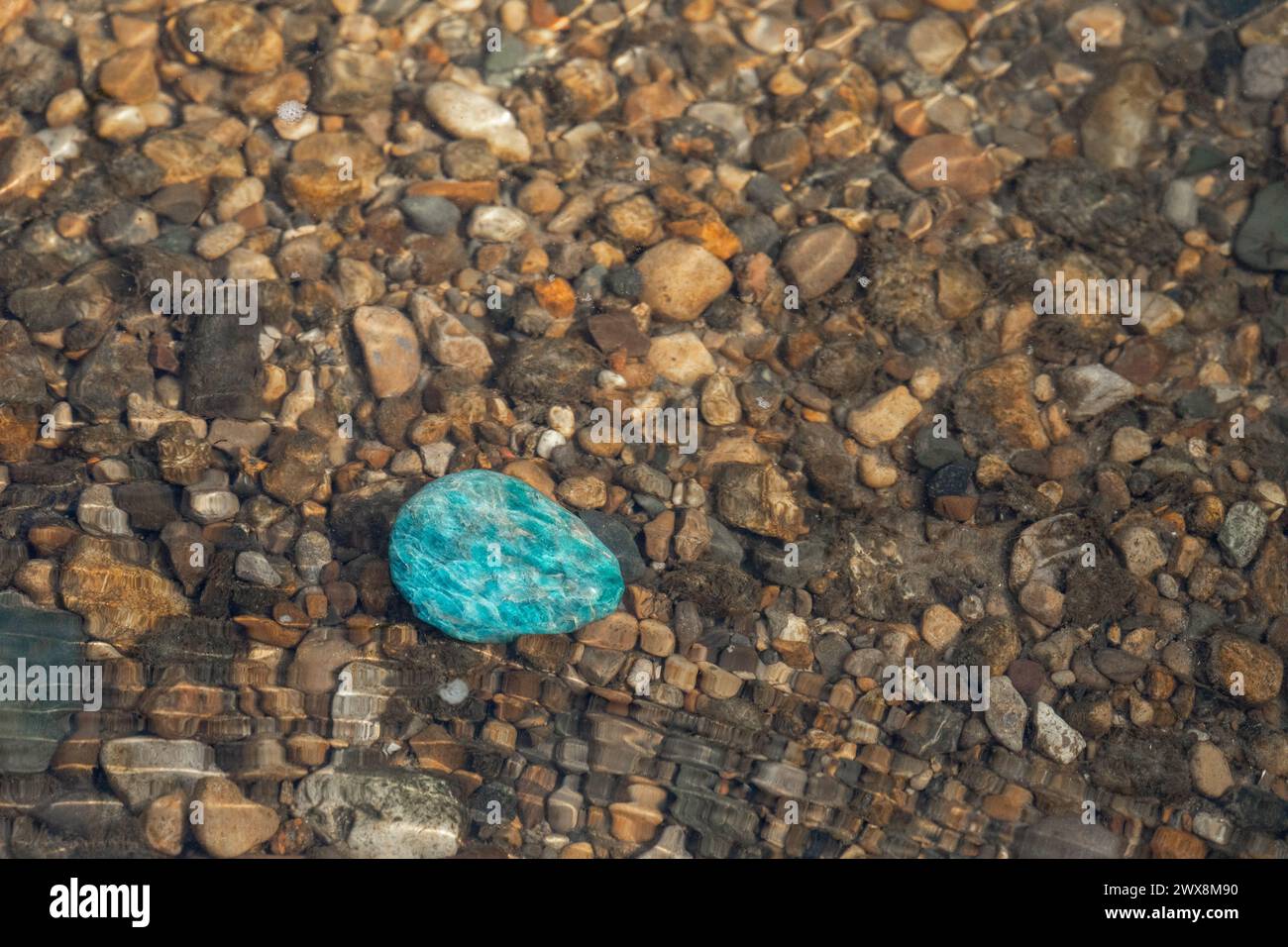 Une pierre précieuse d'apatite polie dans l'eau peu profonde sur de petites pierres dans un ruisseau Banque D'Images