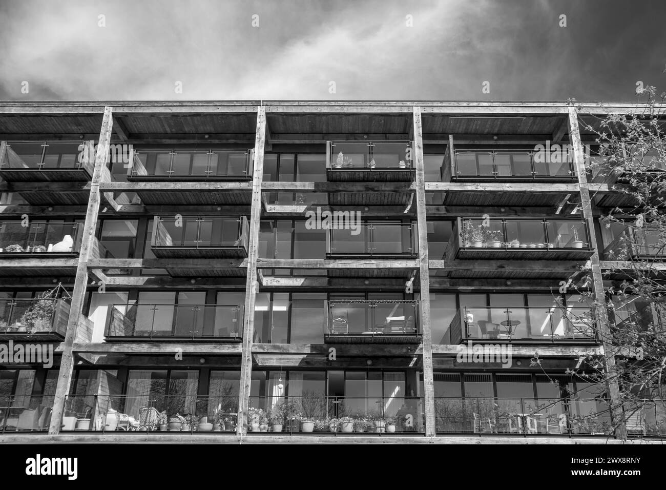 Appartements modernes dans Accordia Housing Development à Cambridge, Royaume-Uni Banque D'Images