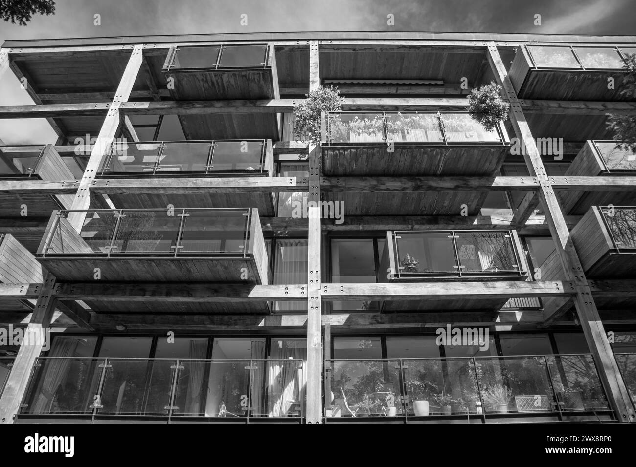 Appartements modernes dans Accordia Housing Development à Cambridge, Royaume-Uni Banque D'Images