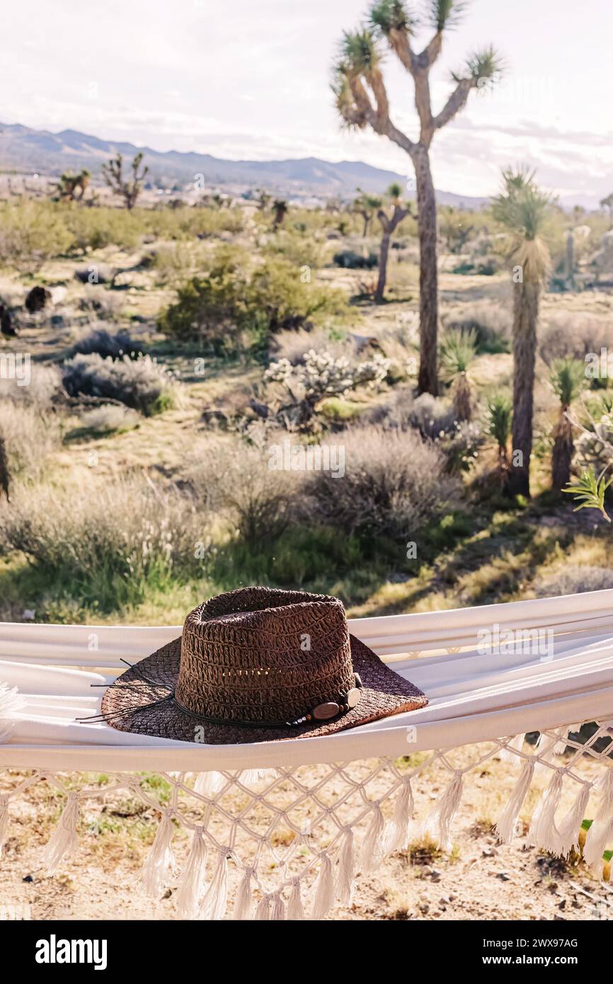 Chapeau de paille couché sur le hamac avec vue sur le désert sur le fond, Joshua Tree, Californie Banque D'Images