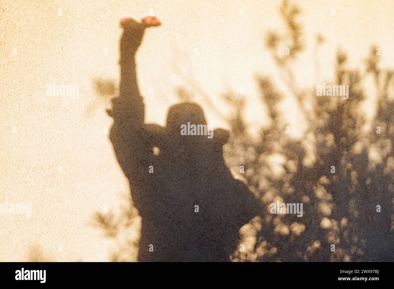 Ombre d'une femme portant un chapeau et tenant des lunettes de soleil reflétant sur le mur à la lumière du coucher du soleil Banque D'Images