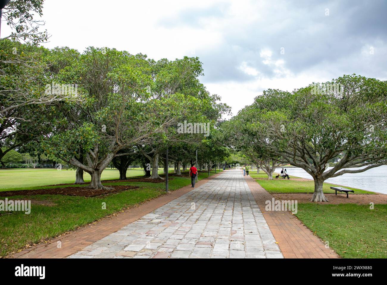 Parc bicentenaire de Glebe Annandale, qui fait partie de la promenade Glebe Foreshore Walk et relie les parcs Federal, Blackwattle Bay et Jubilee dans le centre-ouest de Sydney, 2024 Banque D'Images