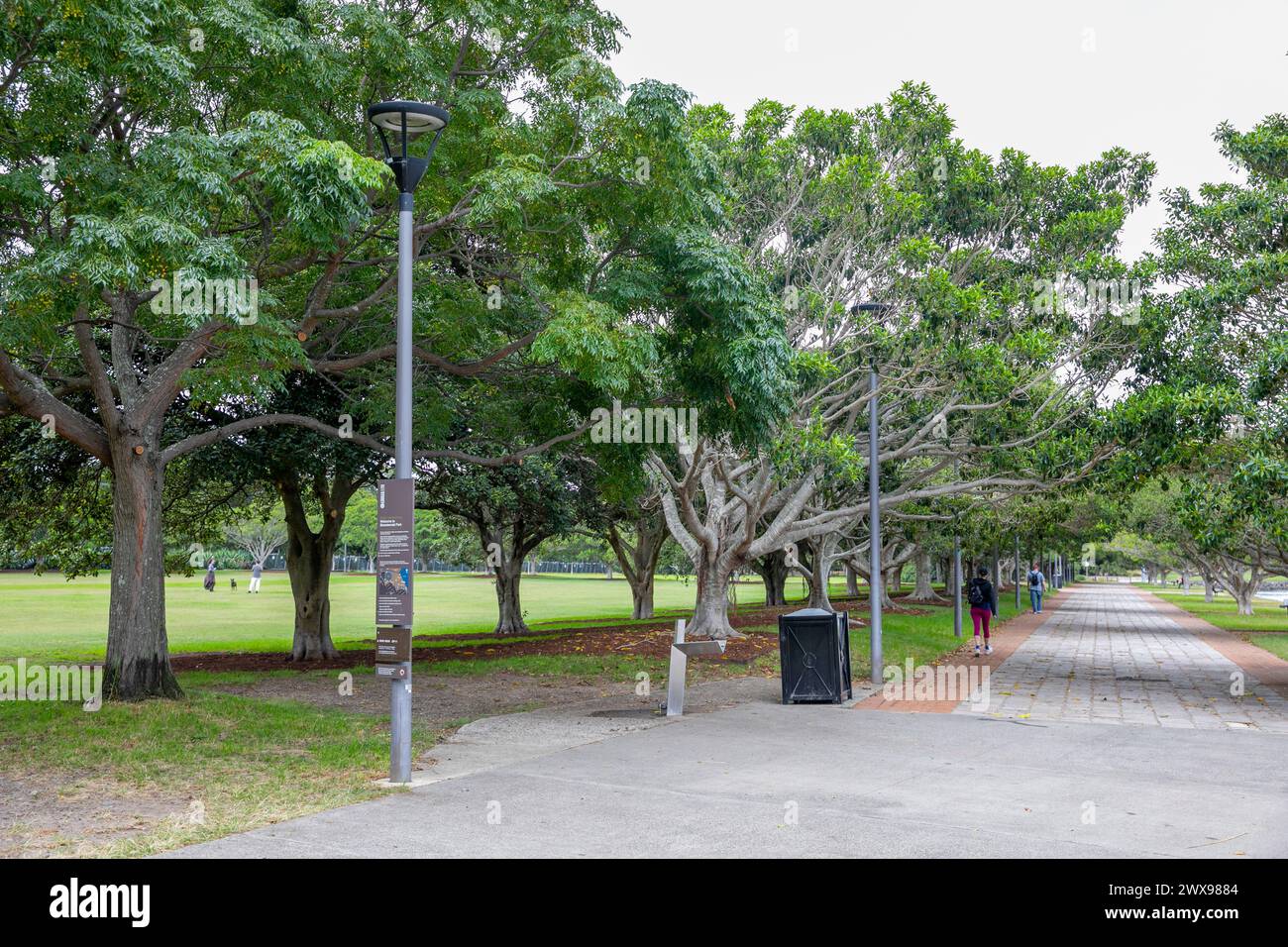 Parc bicentenaire de Glebe Annandale, qui fait partie de la promenade Glebe Foreshore Walk et relie les parcs Federal, Blackwattle Bay et Jubilee dans le centre-ouest de Sydney, 2024 Banque D'Images