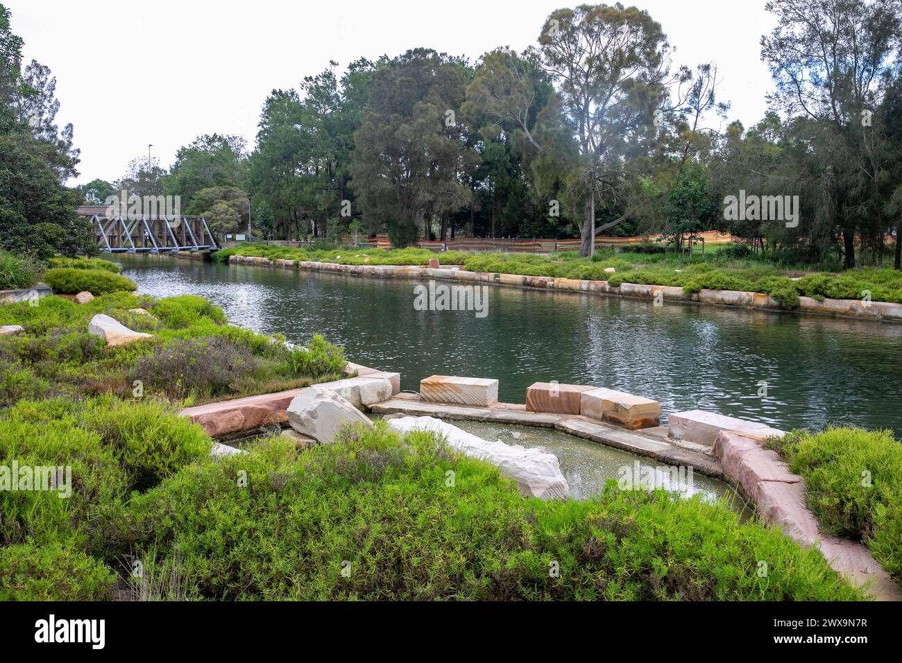 Glebe Sydney, zone humide établie le long du ruisseau Johnstons, y compris les bassins de roche océanique, Nouvelle-Galles du Sud, Australie Banque D'Images