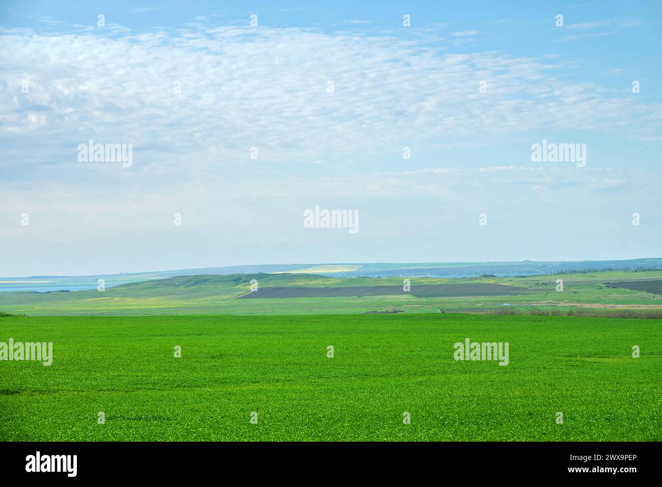 Steppes, collines, champs boisés et terres agricoles de la péninsule de Taman. Russie Banque D'Images