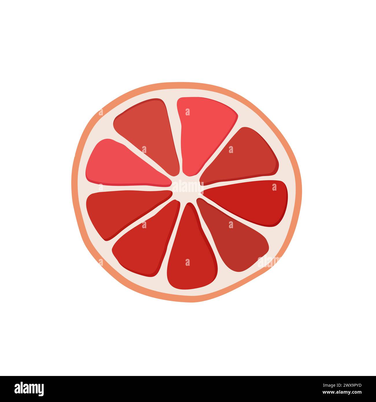 Juteuse et saine tranche de pamplemousse rouge mince isolé sur fond blanc. Illustration vectorielle de fruits tranchés dans un style plat. Clipart d'été pour le design Illustration de Vecteur