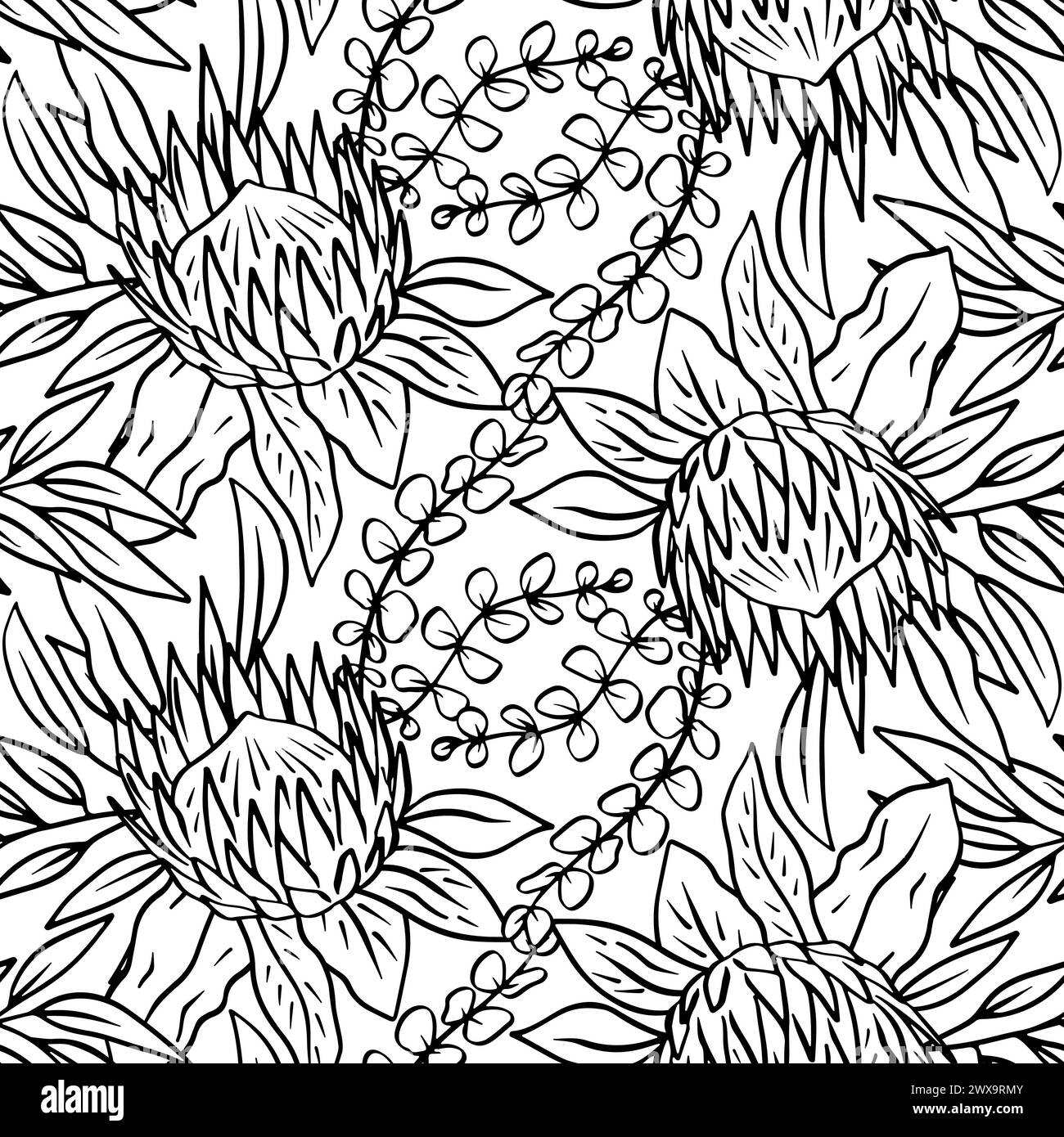 Motif sans couture noir et blanc avec des fleurs protea art au trait Illustration de Vecteur