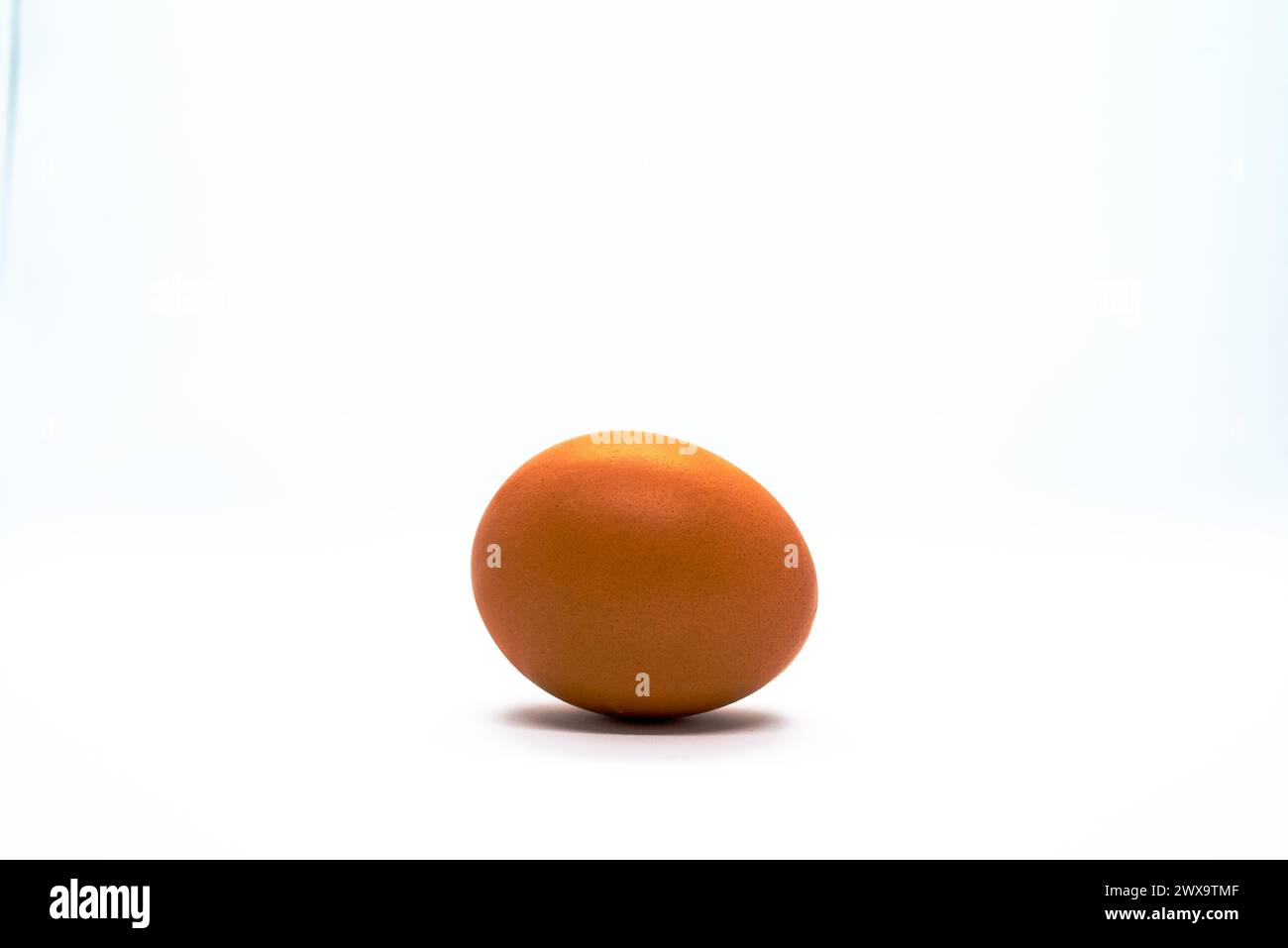 Un seul œuf biologique occupe le devant de la scène sur un fond blanc immaculé, incarnant l'essence culinaire de la fraîcheur et de la simplicité. Banque D'Images