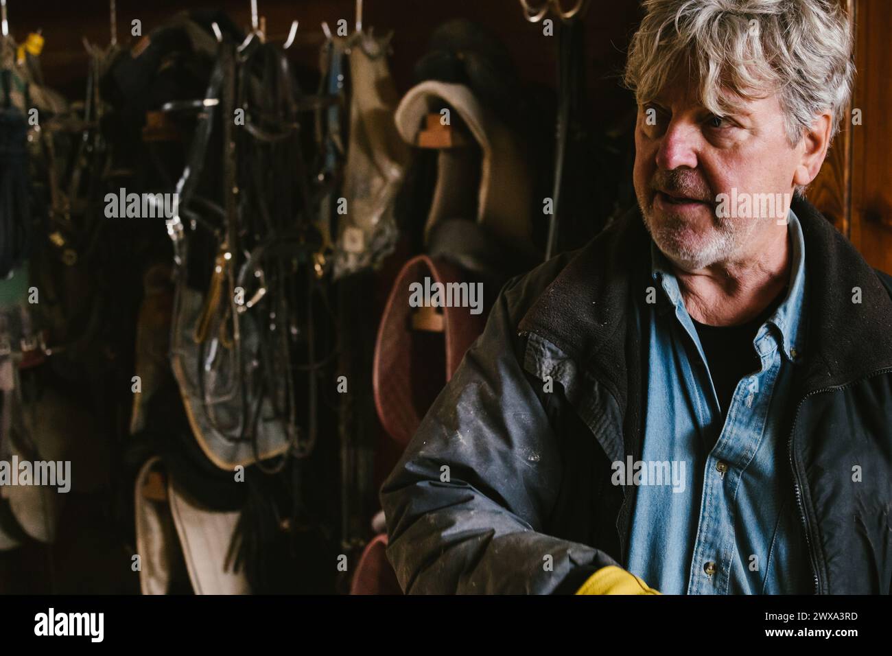 Homme plus âgé avec un chevalet et des selles derrière lui Banque D'Images