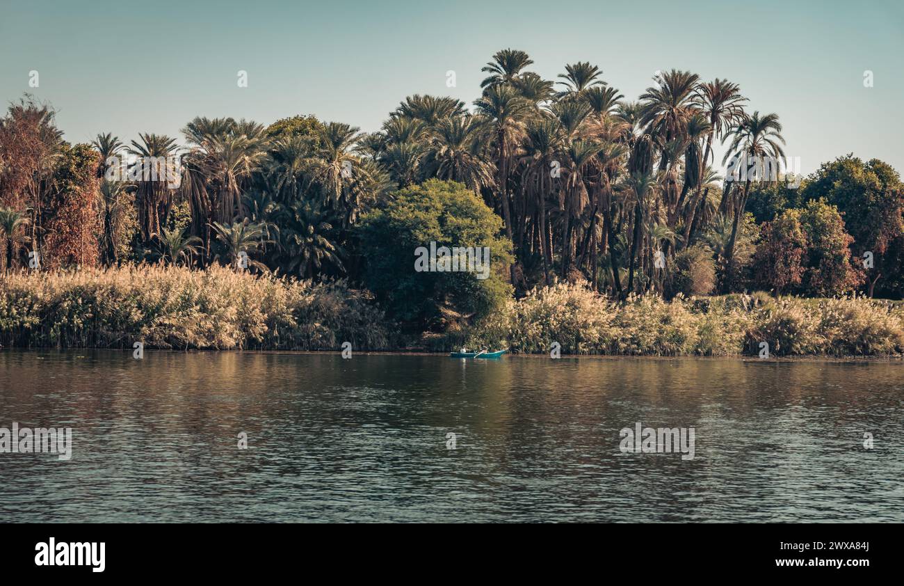 Paysage de banque du Nil vert en Egypte Banque D'Images