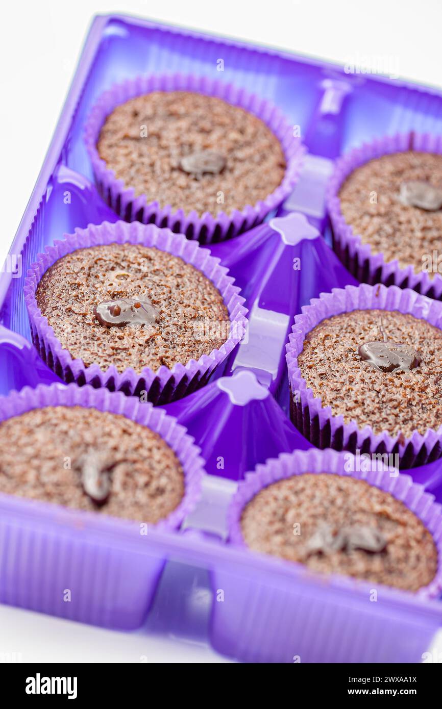 Un muffin traditionnel avec des pépites de chocolat. Mise au point sélective avec faible profondeur de champ. Banque D'Images