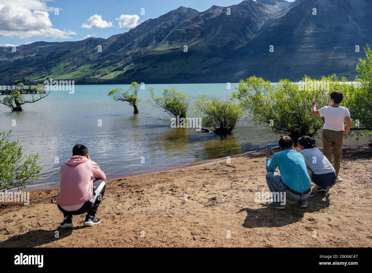 Touristes photographiant la célèbre rangée de saules à Glenorchy, lac Wakatipu, Otago, Île du Sud, Nouvelle-Zélande Banque D'Images Touristes photographiant la célèbre rangée de saules à Glenorchy, lac Wakatipu, Otago, Île du Sud, Nouvelle-Zélande Banque D'Images