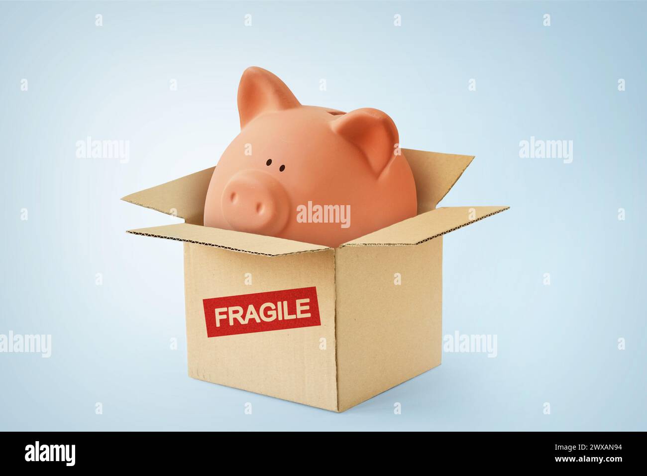 Tirelire dans une boîte en carton avec le mot fragile - concept d'épargne, de protection de l'argent et de sécurité financière Banque D'Images