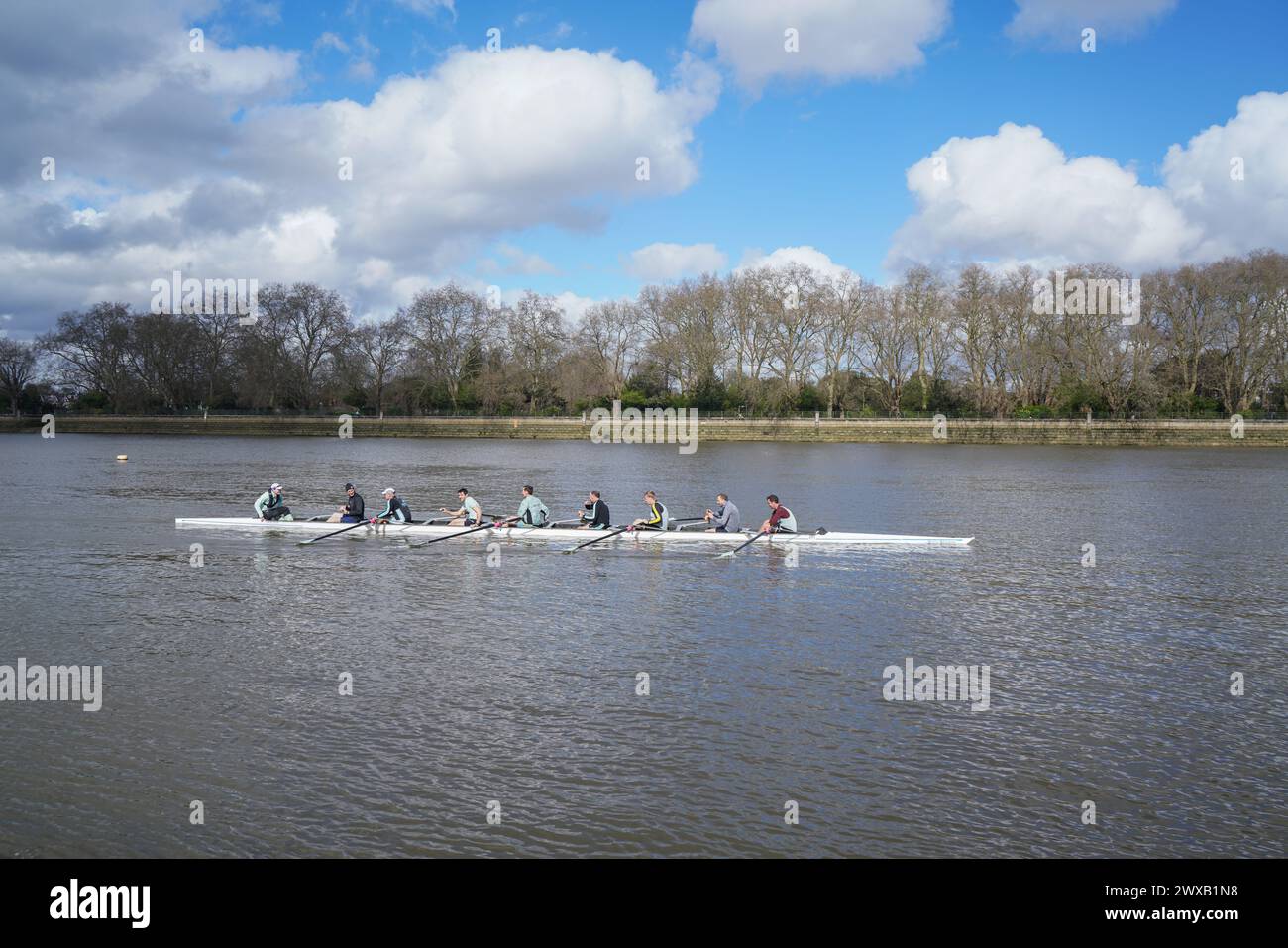 Putney, Londres 29 mars 2024 . Rameurs sur la Tamise à Putney, au sud-ouest de Londres. Des niveaux élevés d'E. coli ont été trouvés dans la Tamise de Londres selon le groupe de campagne environnementale River action avant la traditionnelle course de bateaux de l'université d'Oxford Cambridge le samedi 30 mars . Il y a eu une multiplication par cinq des eaux usées par l'eau de la Tamise dans les rivières de Londres en 2023.Credit : amer Ghazzal/Alamy Live News Banque D'Images