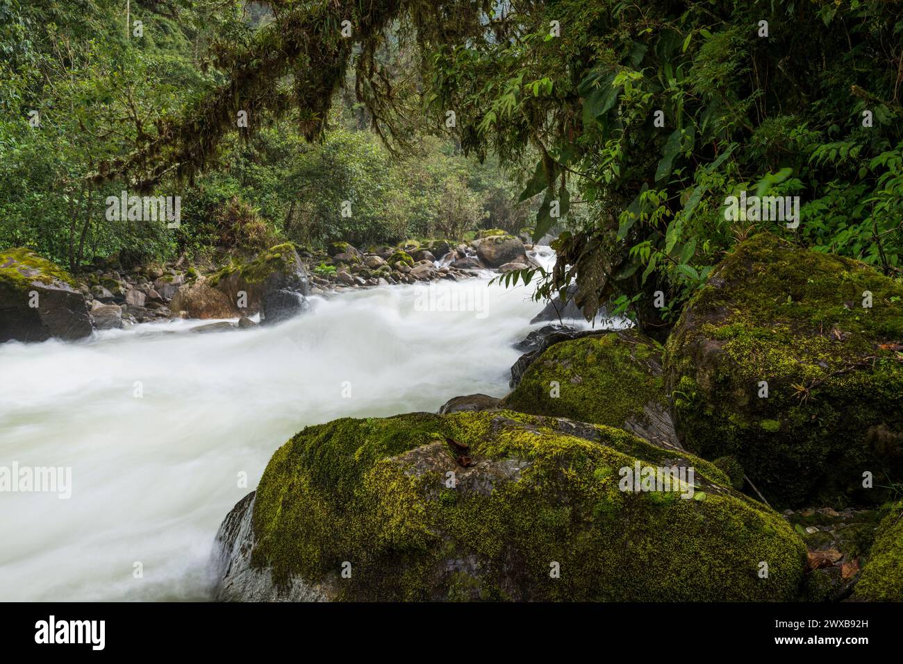 Rivière Papallacta, région de Papallacta, Andes équatoriennes, Équateur, Amérique du Sud Banque D'Images